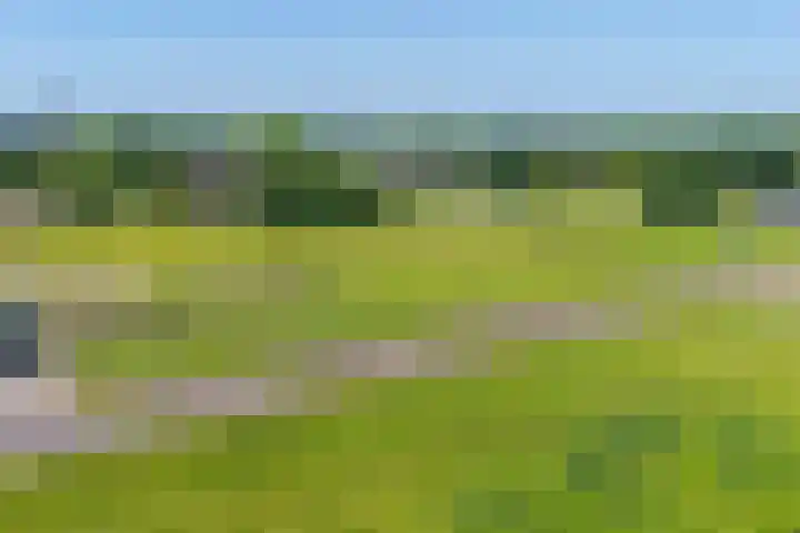 Ten Darperweg 1 a Diever thumbnail 48