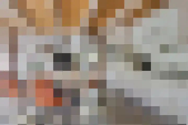 Ten Darperweg 4 Diever thumbnail 10