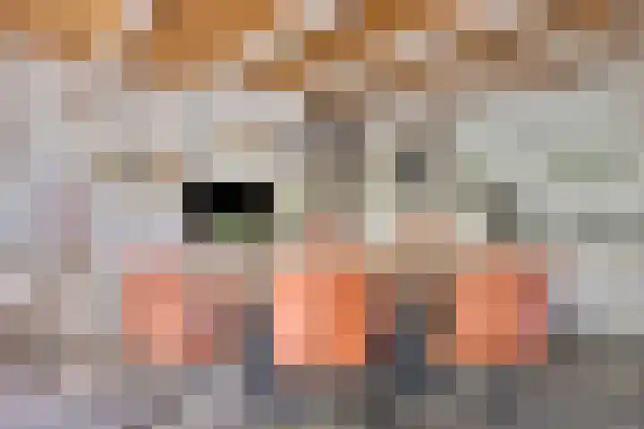 Ten Darperweg 4 Diever thumbnail 11