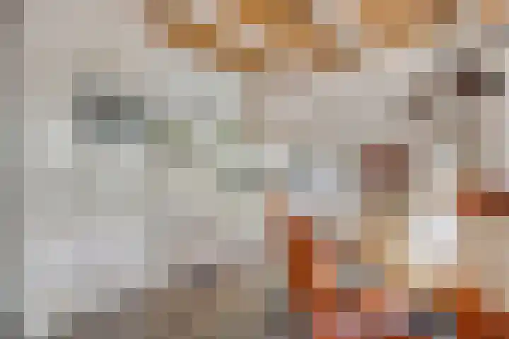 Ten Darperweg 4 Diever thumbnail 12