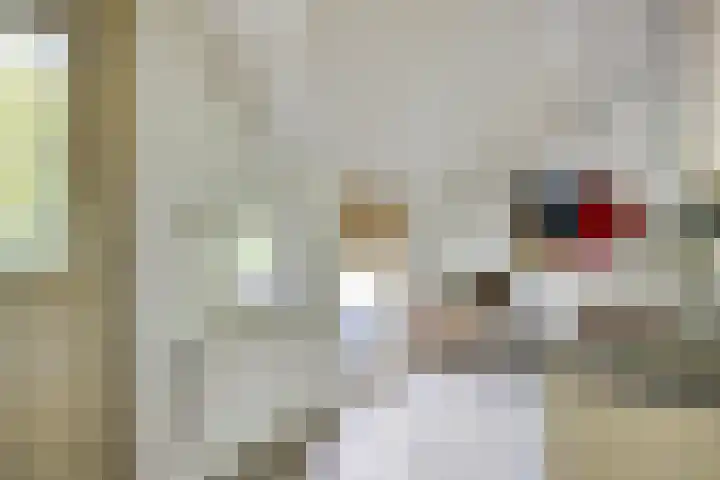 Ten Darperweg 4 Diever thumbnail 27
