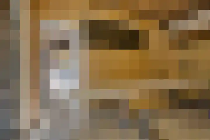 Ten Darperweg 4 Diever thumbnail 33