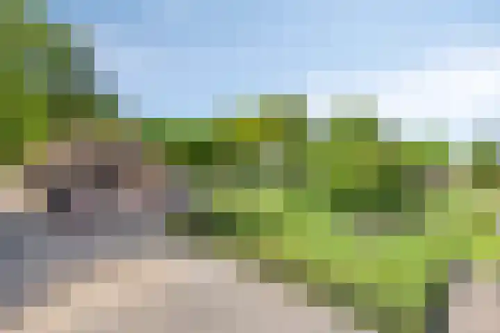 Ten Darperweg 4 Diever thumbnail 43