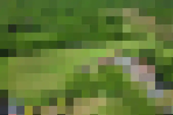 Ten Darperweg 4 Diever thumbnail 45