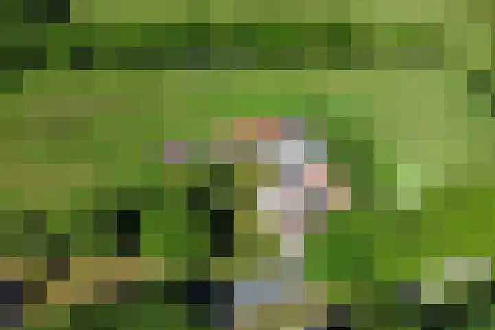 Ten Darperweg 4 Diever thumbnail 46