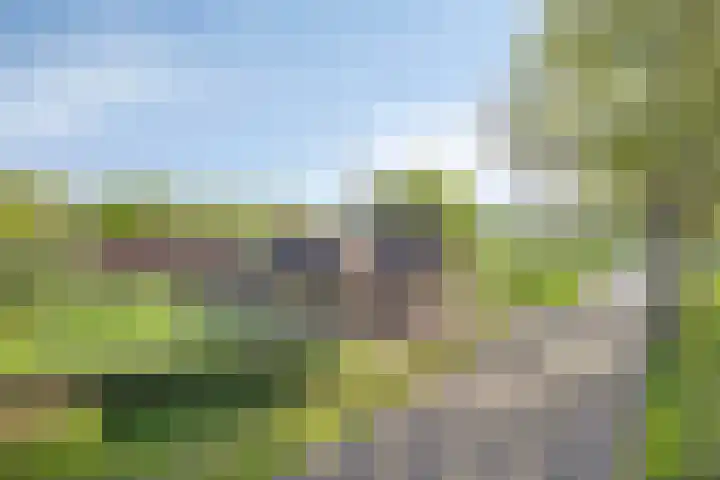 Ten Darperweg 4 Diever thumbnail 54