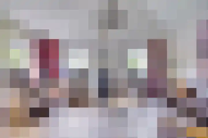 Ten Darperweg 4 Diever thumbnail 7