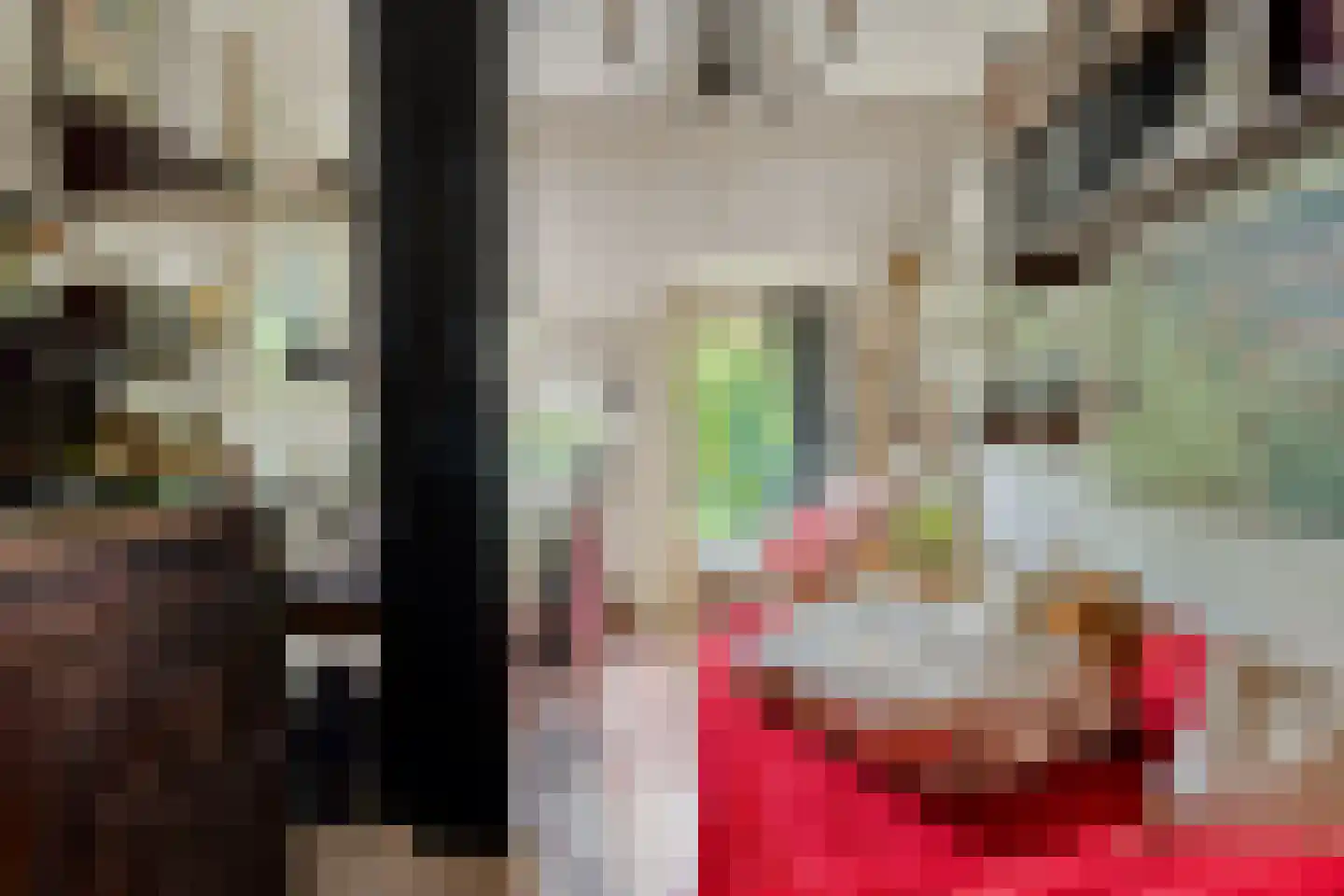 Ten Darperweg 49 Wapse thumbnail 13