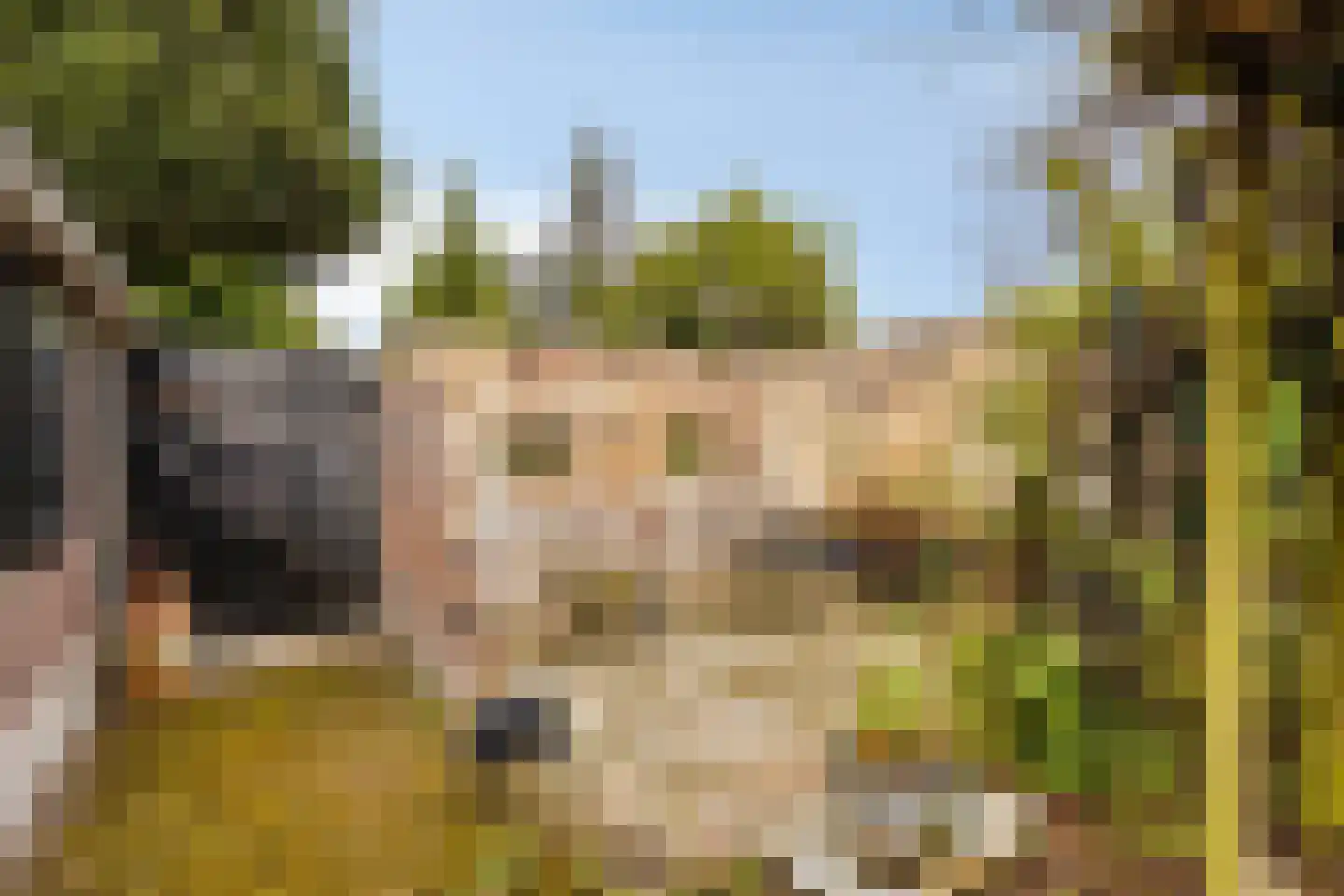 Ten Darperweg 49 Wapse thumbnail 22