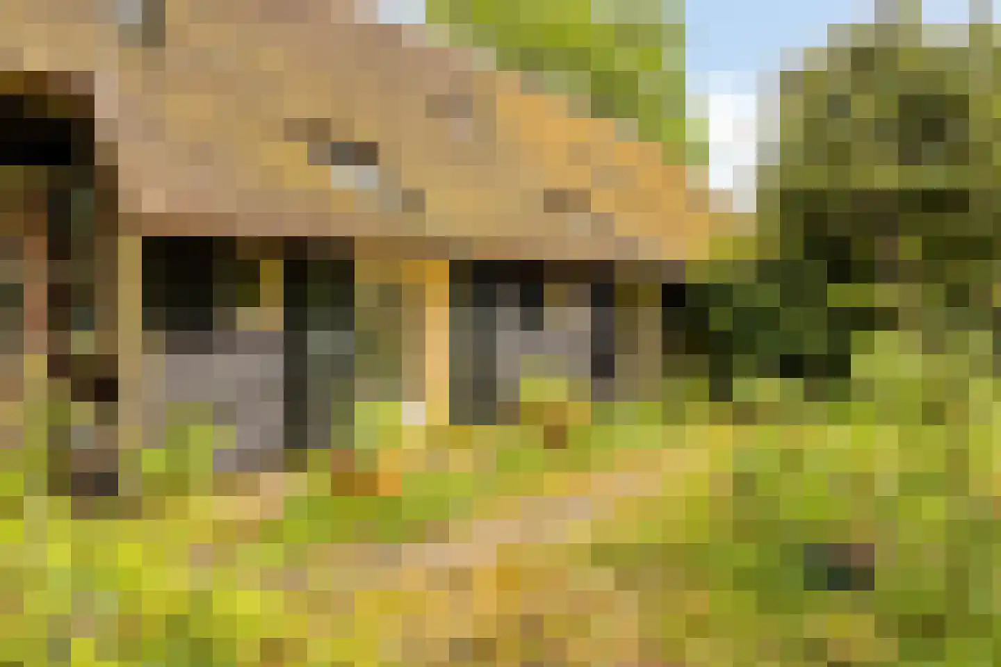 Ten Darperweg 49 Wapse thumbnail 23