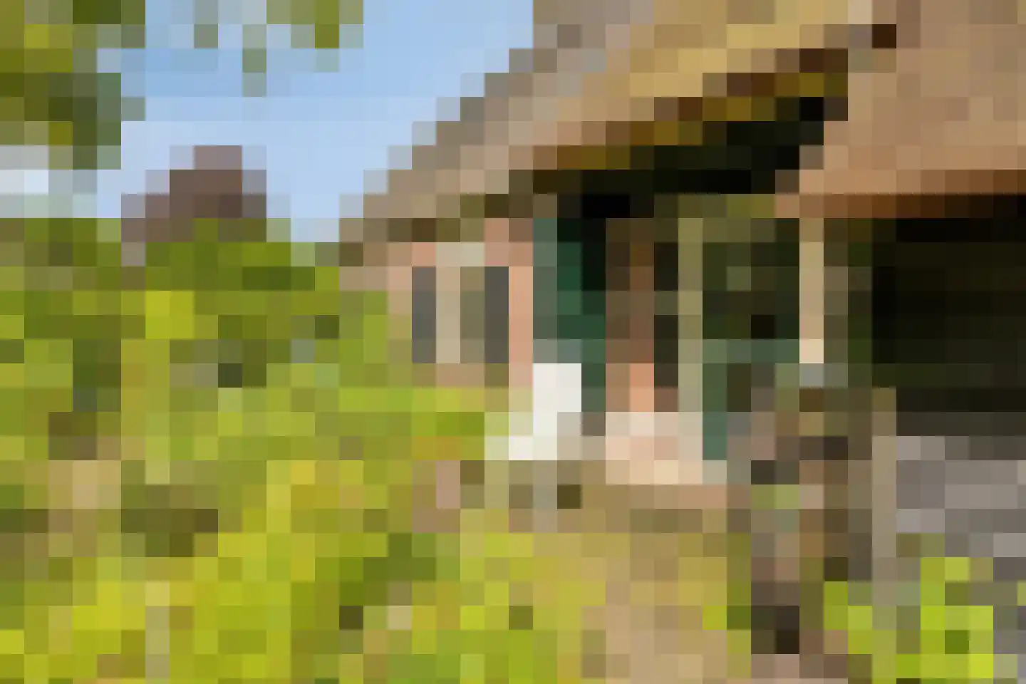 Ten Darperweg 49 Wapse thumbnail 24