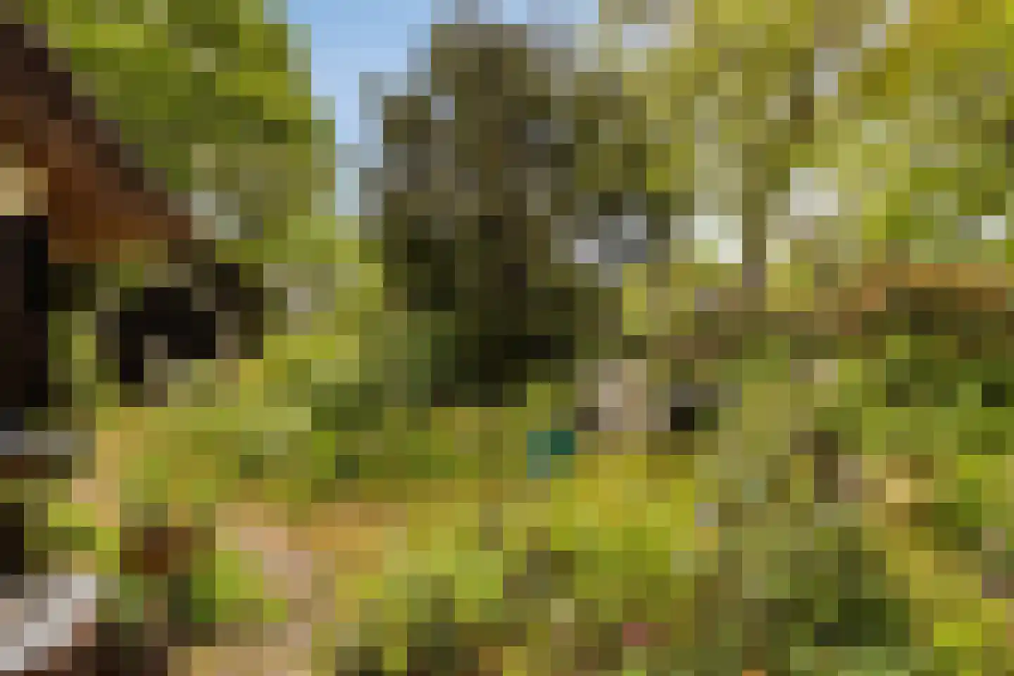 Ten Darperweg 49 Wapse thumbnail 25