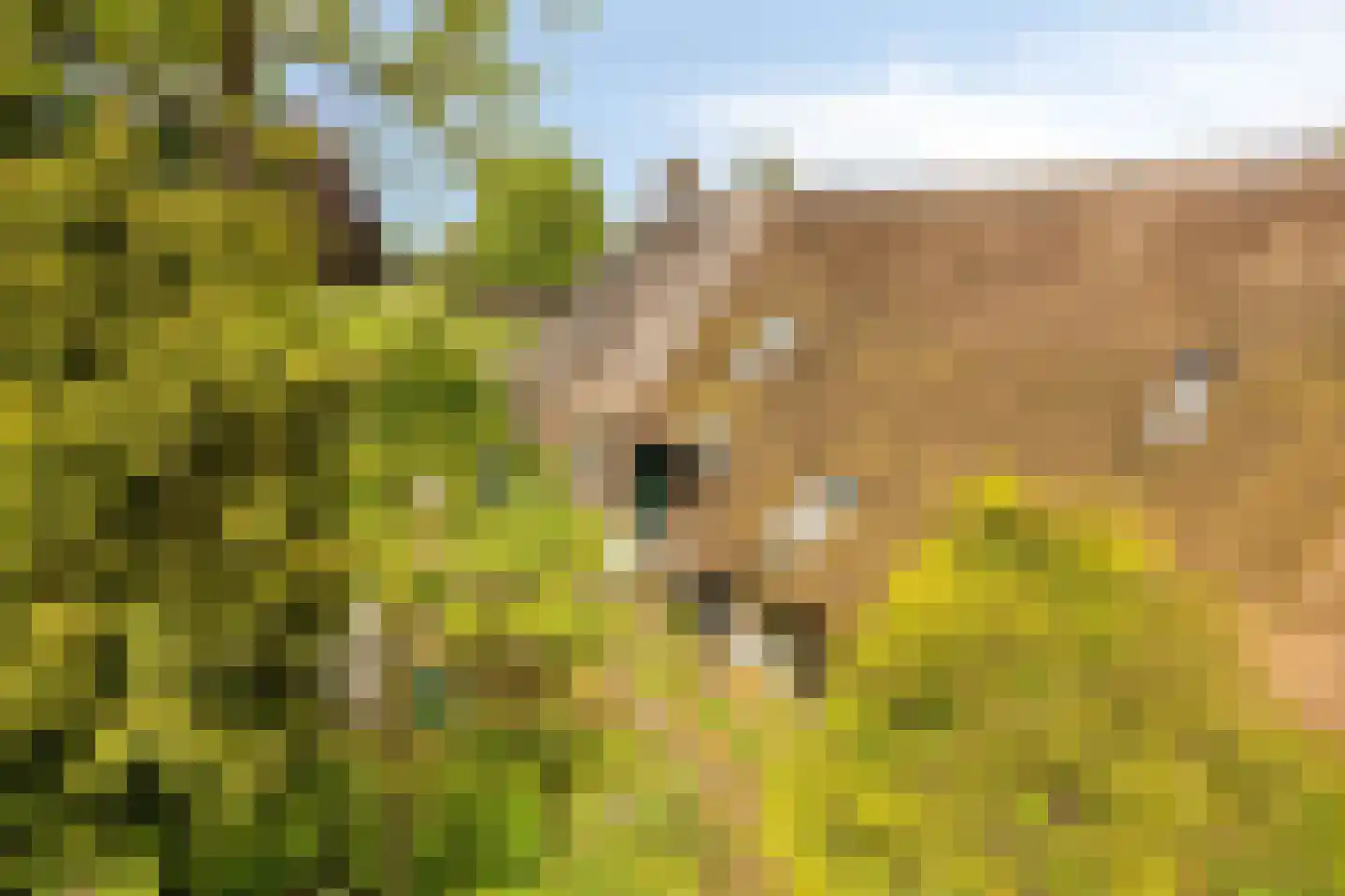 Ten Darperweg 49 Wapse thumbnail 27