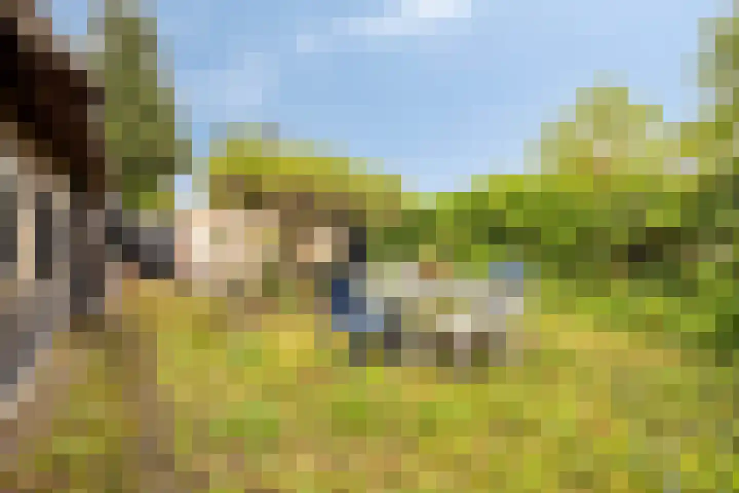 Ten Darperweg 49 Wapse thumbnail 4