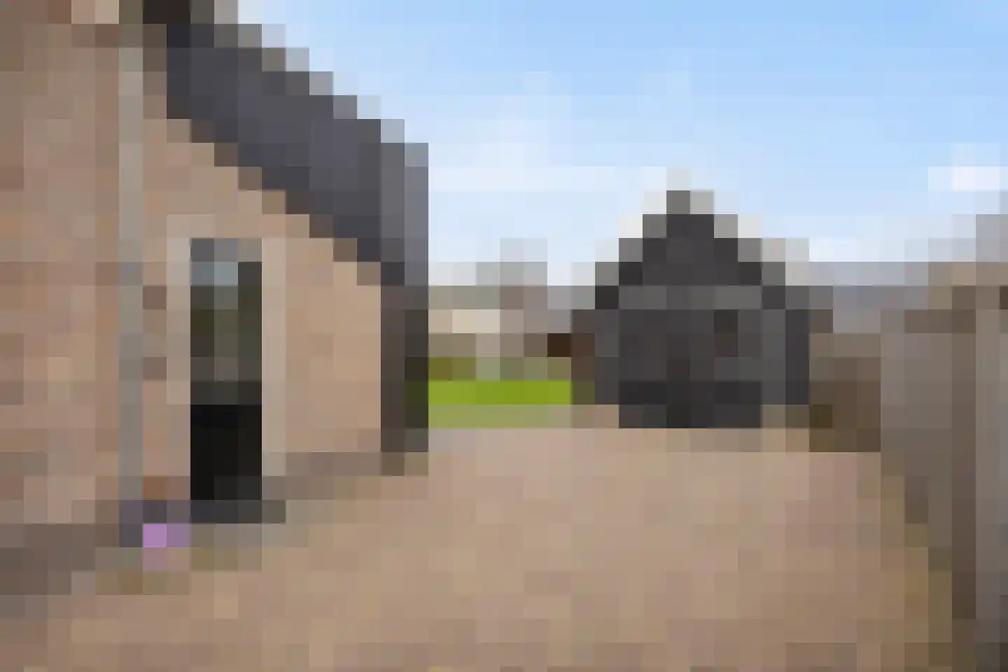 Ten Darperweg 58 Wapse thumbnail 30