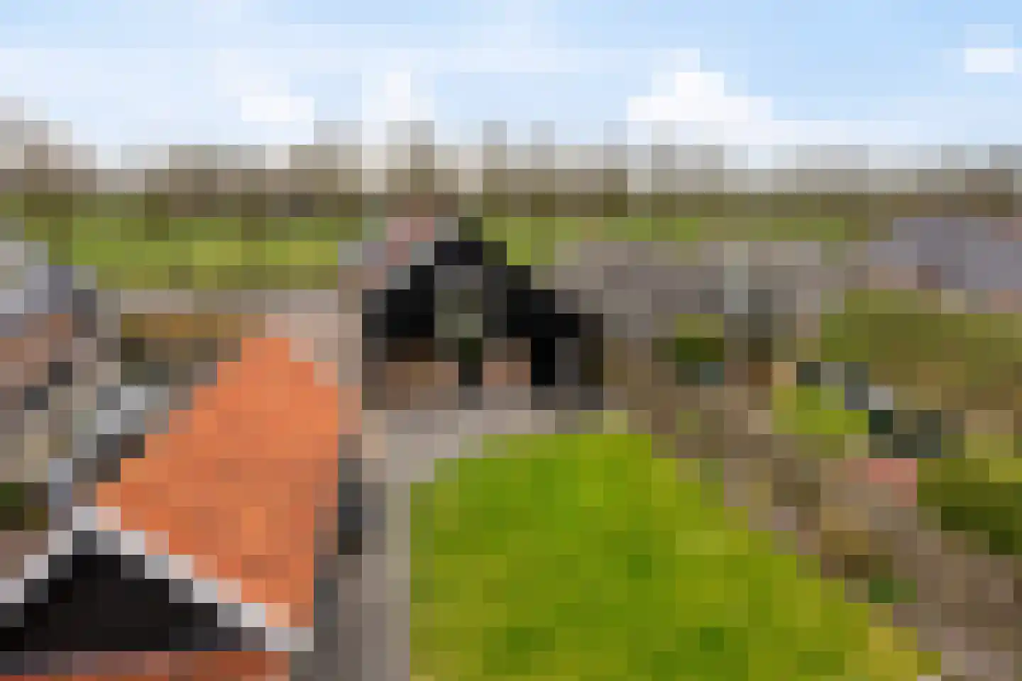 Ten Darperweg 58 Wapse thumbnail 36