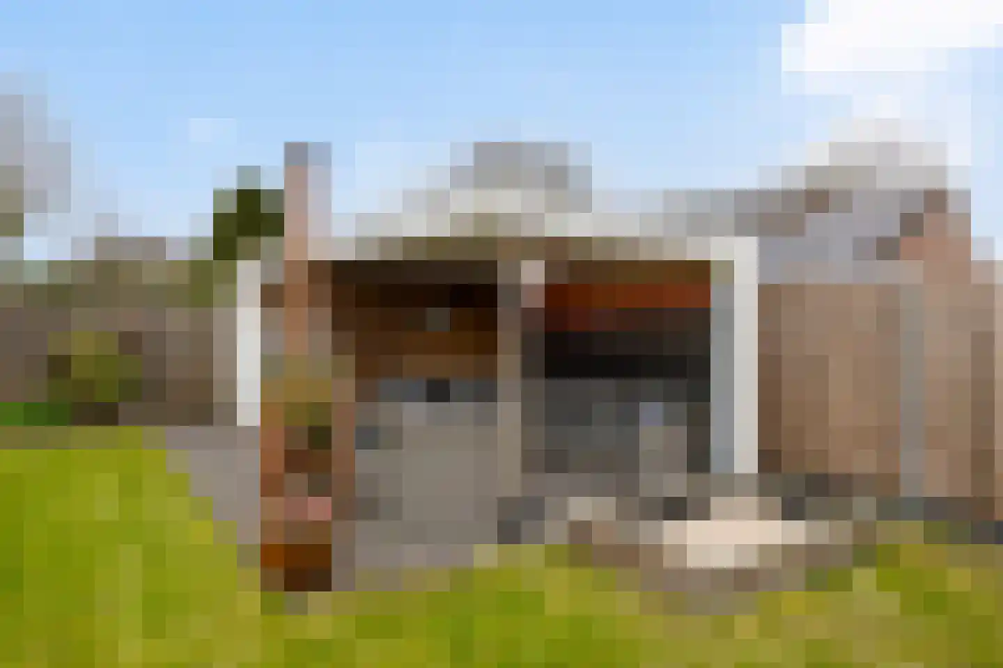 Ten Darperweg 58 Wapse thumbnail 37