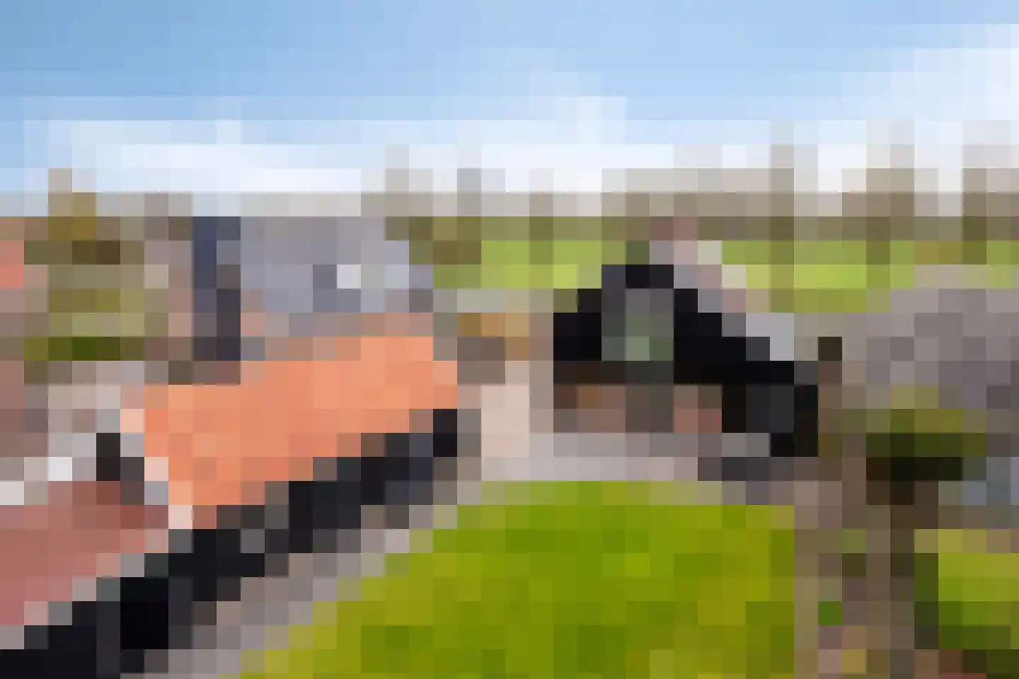 Ten Darperweg 58 Wapse thumbnail 4