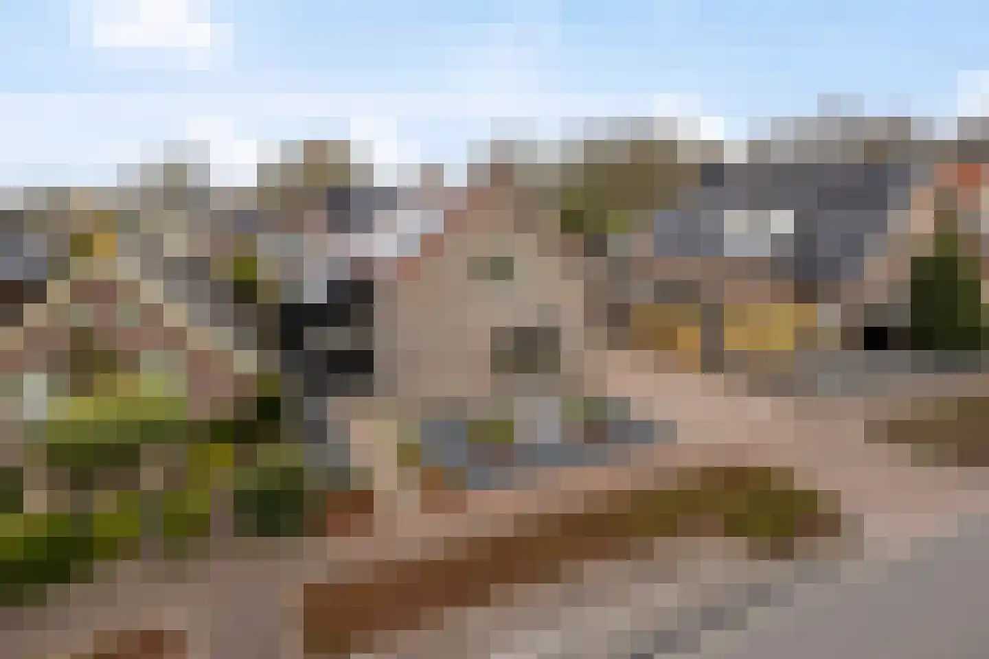 Ten Darperweg 58 Wapse thumbnail 41