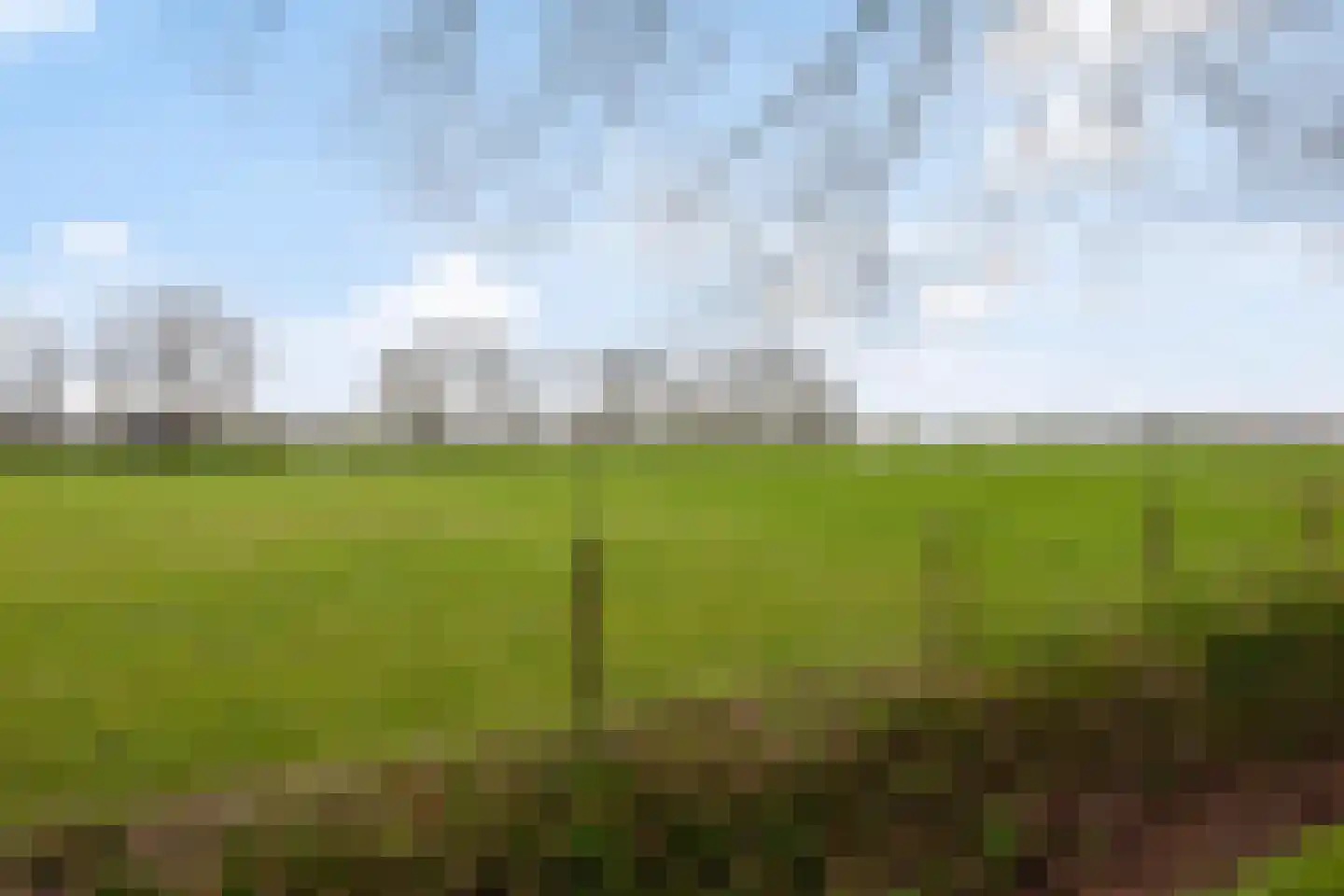 Ten Darperweg 58 Wapse thumbnail 43