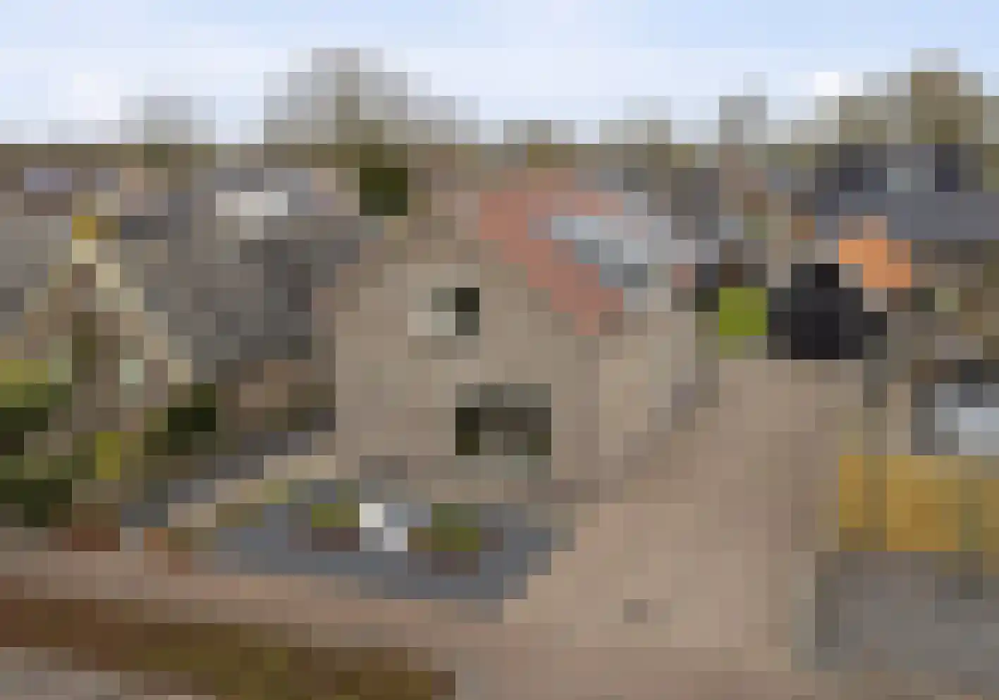Ten Darperweg 58 Wapse thumbnail 50