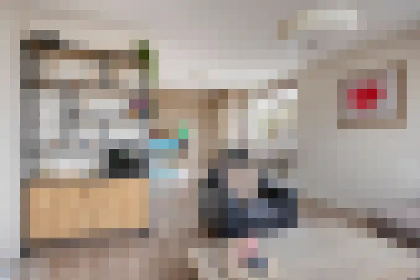 Ten Darperweg 58 Wapse thumbnail 8
