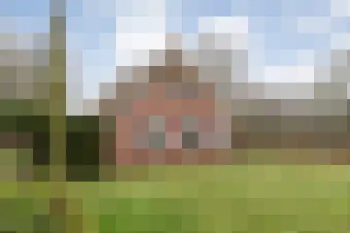 Ten Darperweg 6 Diever thumbnail 10