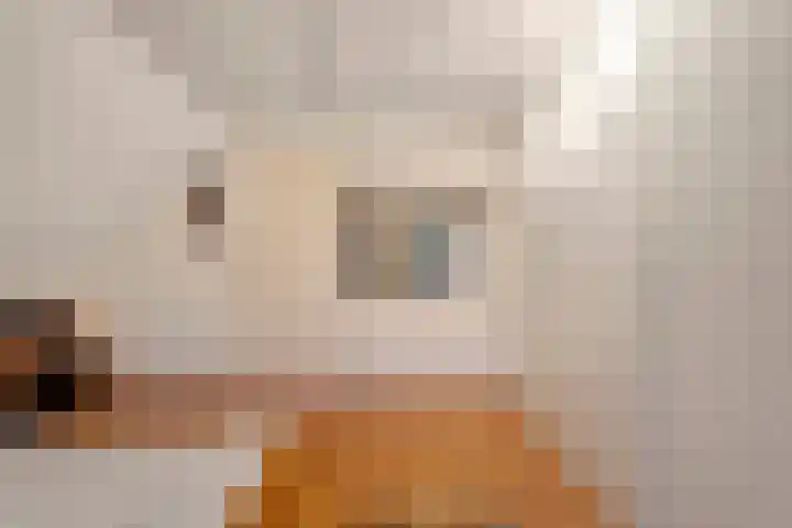 Ten Darperweg 6 Diever thumbnail 32
