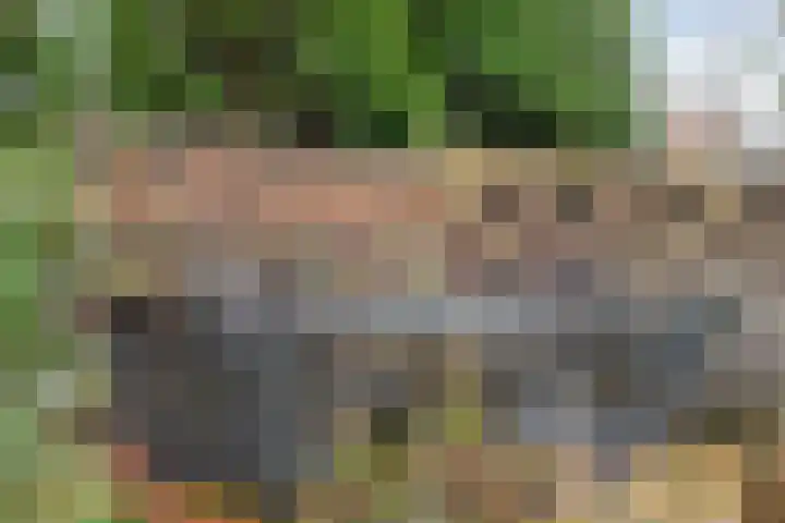 Ten Darperweg 6 Diever thumbnail 38