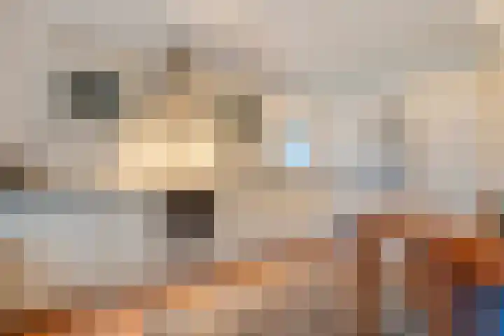 Ten Darperweg 6 Diever thumbnail 4