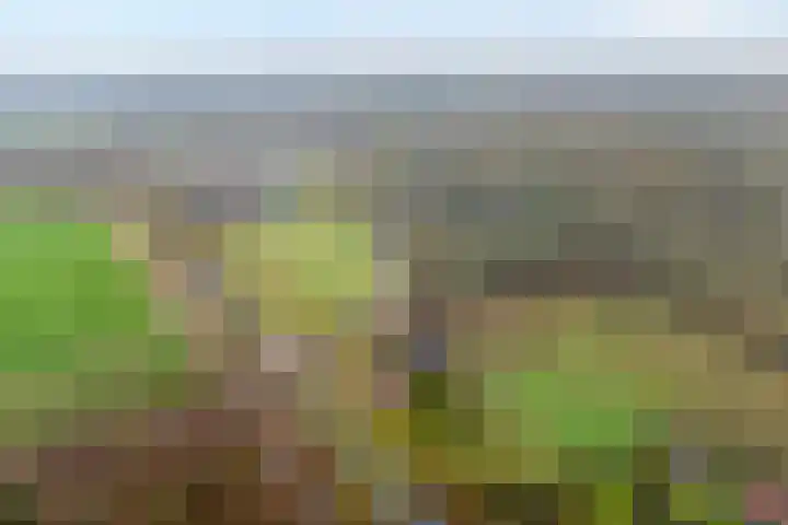 Ten Darperweg 6 Diever thumbnail 42