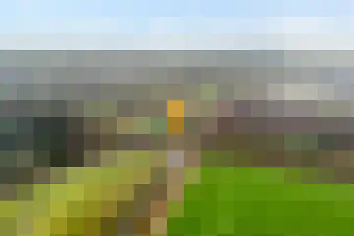 Ten Darperweg 6 Diever thumbnail 5