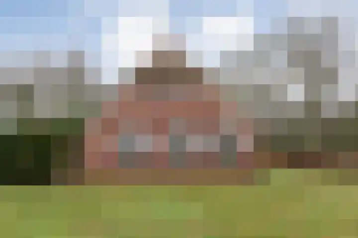 Ten Darperweg 6 Diever thumbnail 8