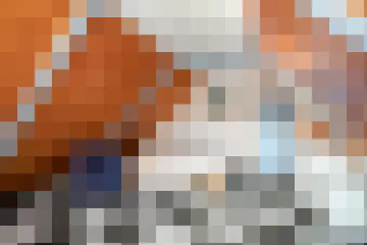 Ten Darperweg 96 Wapse thumbnail 27