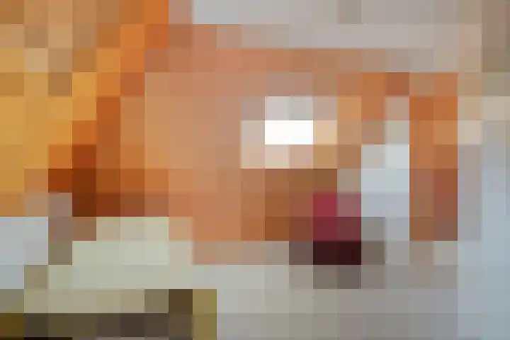 Ten Darperweg 96 Wapse thumbnail 29