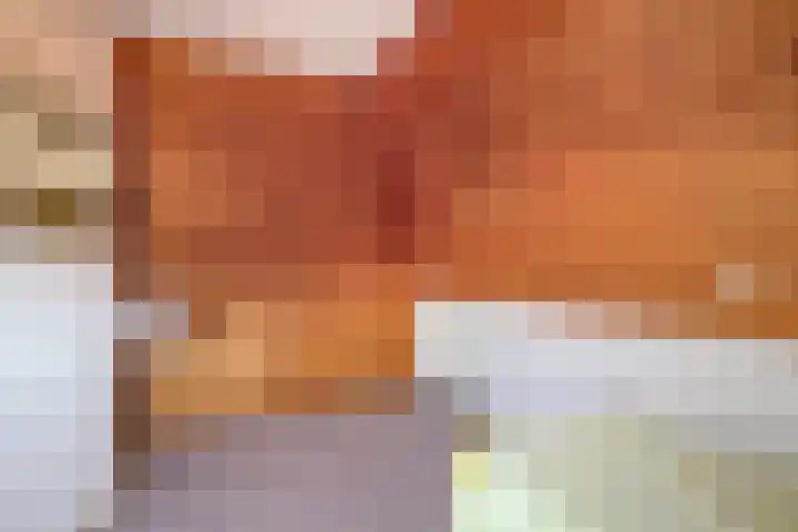 Ten Darperweg 96 Wapse thumbnail 30