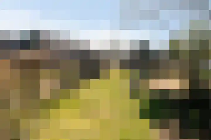 Ten Darperweg 96 Wapse thumbnail 33