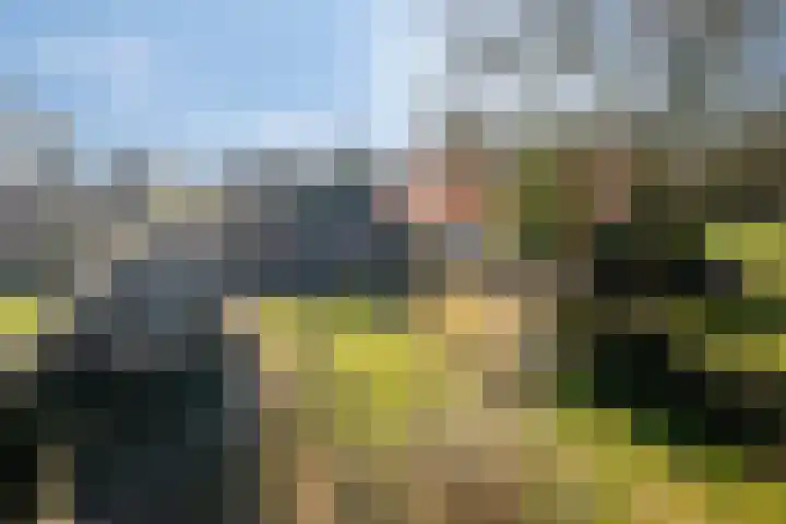 Ten Darperweg 96 Wapse thumbnail 34