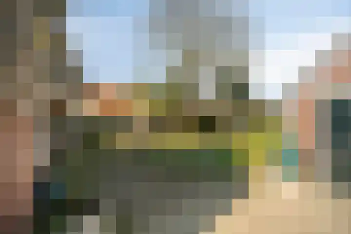 Ten Darperweg 96 Wapse thumbnail 35