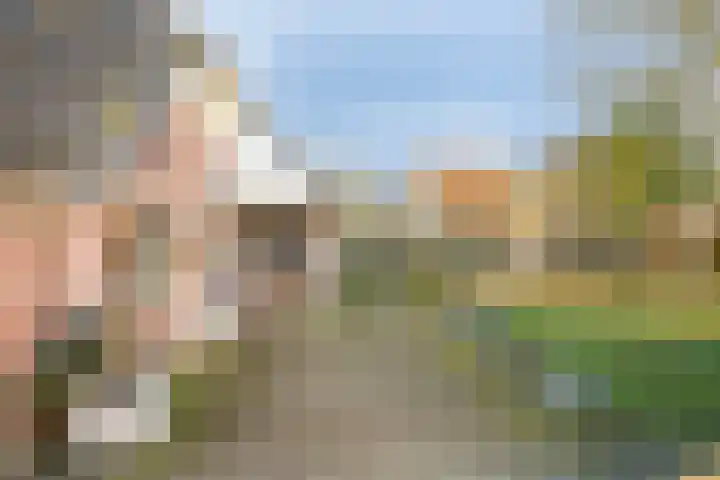 Ten Darperweg 96 Wapse thumbnail 36