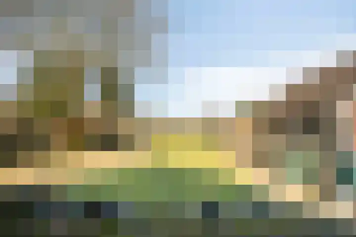 Ten Darperweg 96 Wapse thumbnail 37