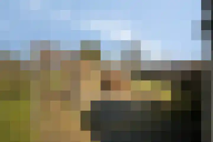 Ten Darperweg 96 Wapse thumbnail 38
