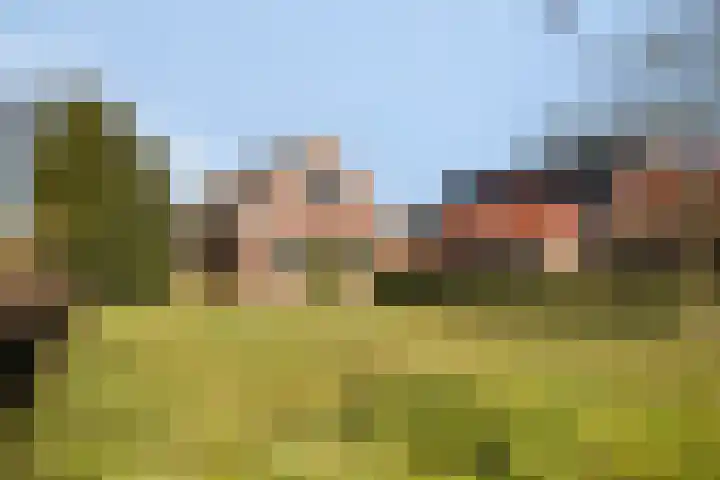 Ten Darperweg 96 Wapse thumbnail 39