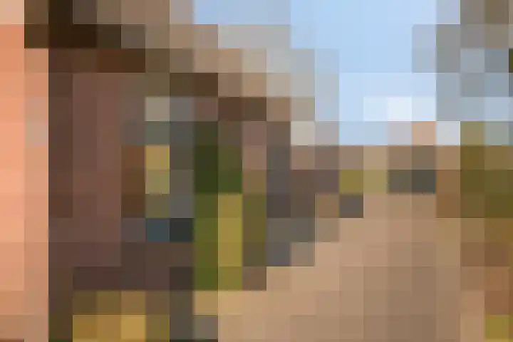 Ten Darperweg 96 Wapse thumbnail 4