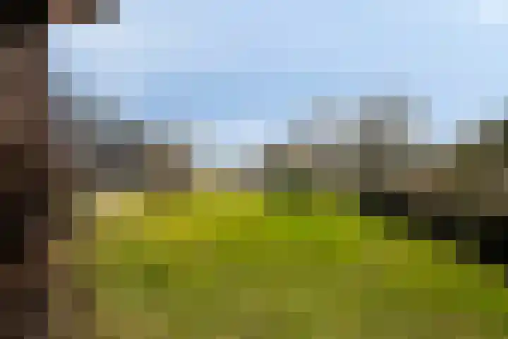 Ten Darperweg 96 Wapse thumbnail 40