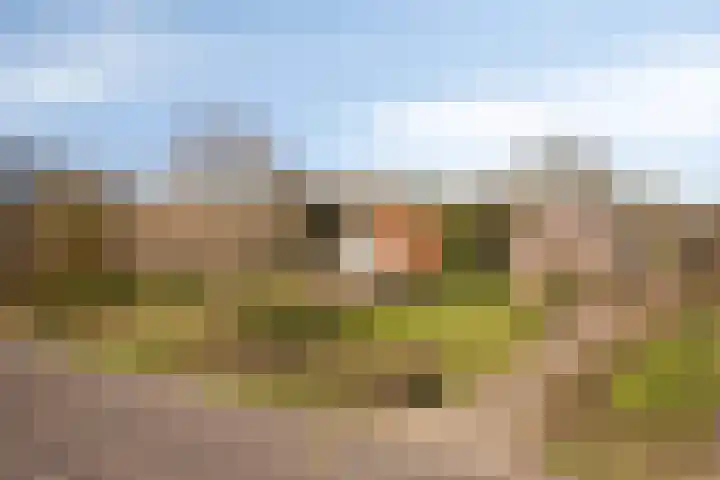Ten Darperweg 96 Wapse thumbnail 41