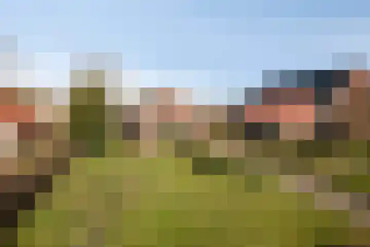 Ten Darperweg 96 Wapse thumbnail 42