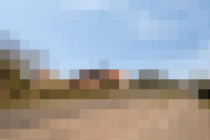 Ten Darperweg 96 Wapse thumbnail 43