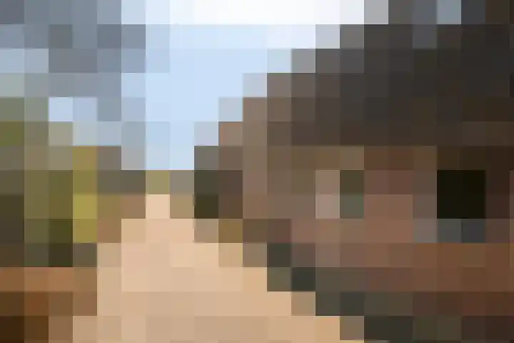 Ten Darperweg 96 Wapse thumbnail 5