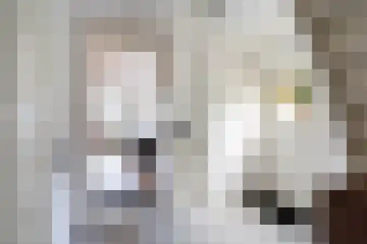 Ten Darperweg 98 Wapse thumbnail 17